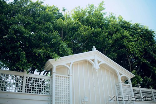 晚安心语：放下无谓的负担，人生才能一路自在 (6)